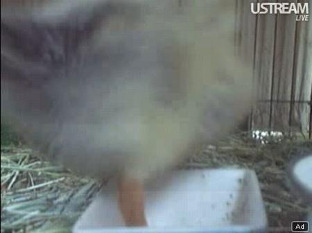 f:id:nBit:20110530161837j:image f:id:nBit:20110530161837j:image