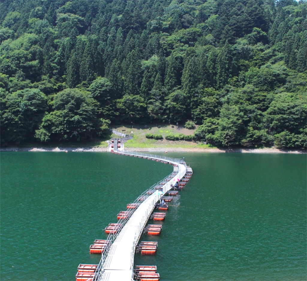 f:id:nYoshi:20210915065729j:image f:id:nYoshi:20210915065729j:image