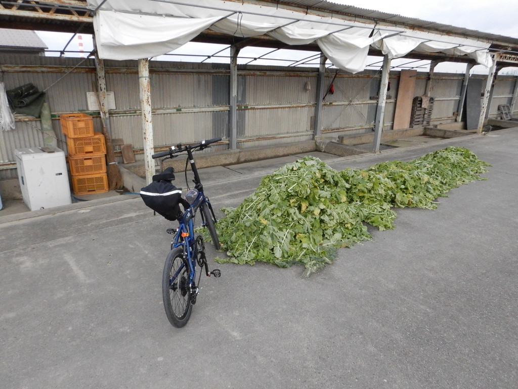 f:id:n_a_bicycle:20190113093736j:plain f:id:n_a_bicycle:20190113093736j:plain