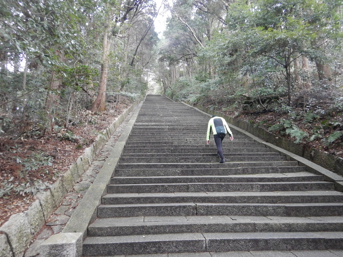 f:id:n_a_bicycle:20190316133216j:plain f:id:n_a_bicycle:20190316133216j:plain