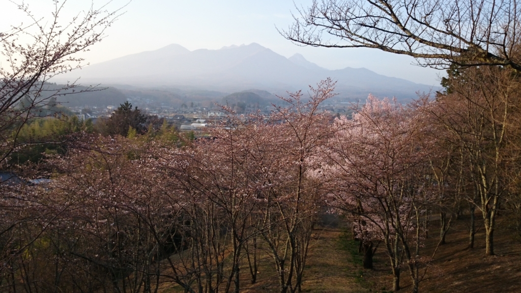 f:id:n_aomi1214:20180403172528j:plain