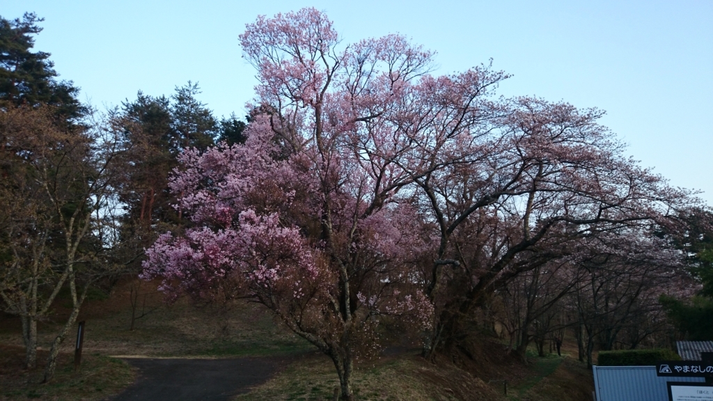 f:id:n_aomi1214:20180403174757j:plain