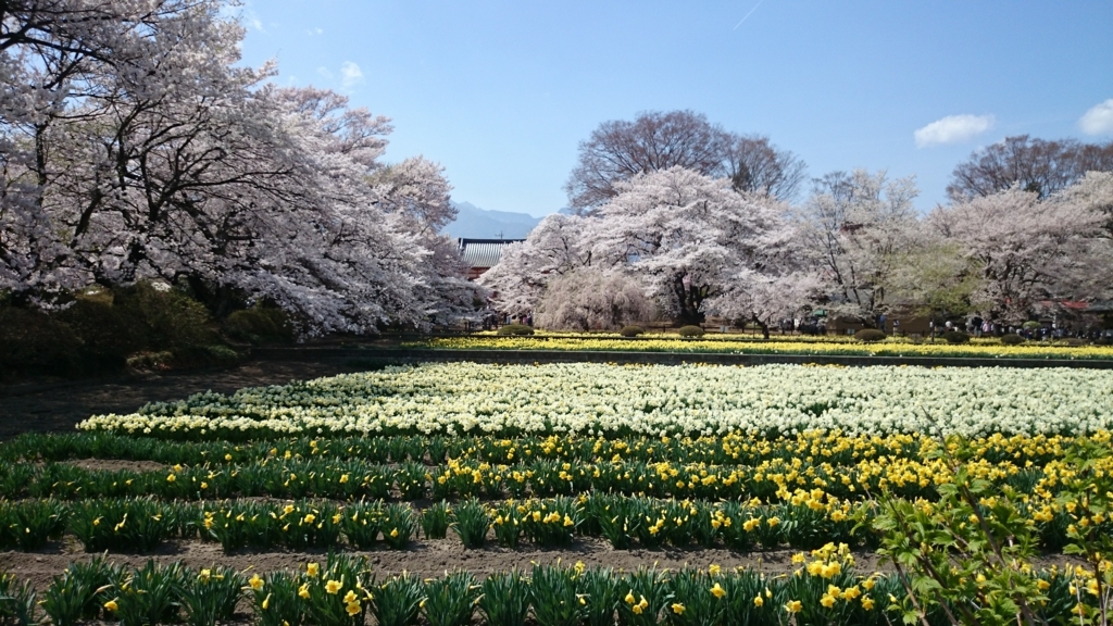 f:id:n_aomi1214:20180404122945j:plain