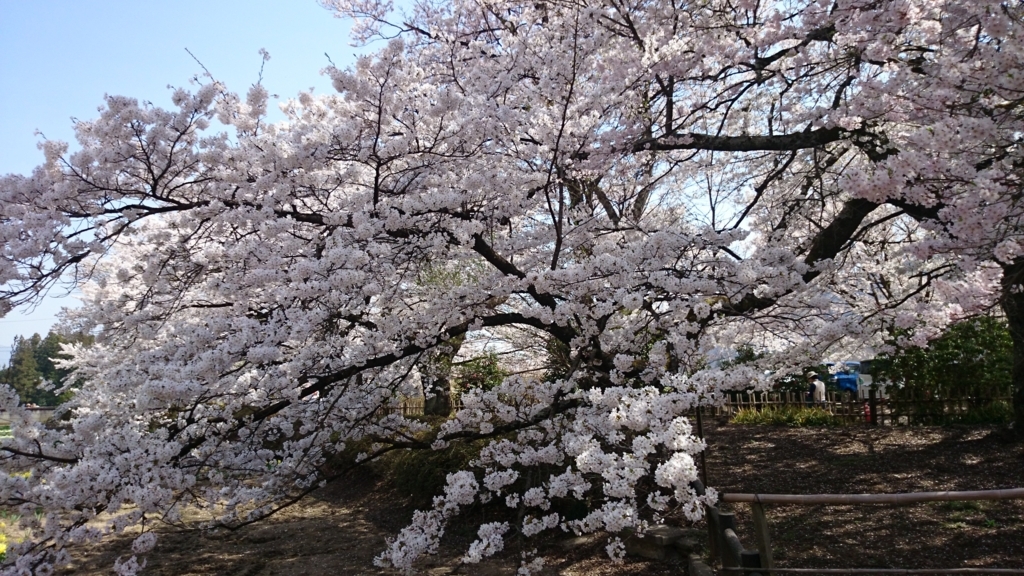 f:id:n_aomi1214:20180404124646j:plain