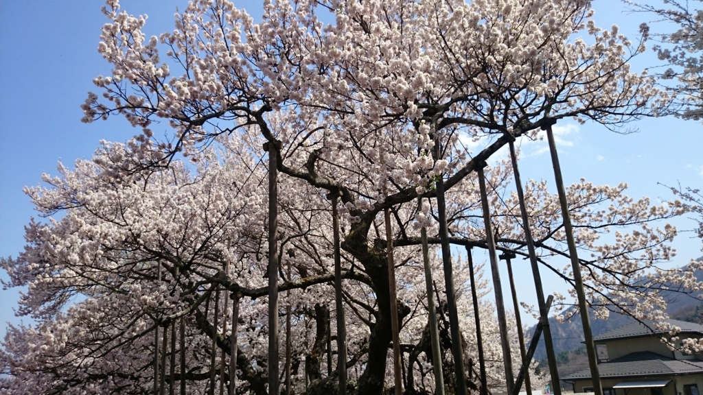 f:id:n_aomi1214:20180404124939j:plain