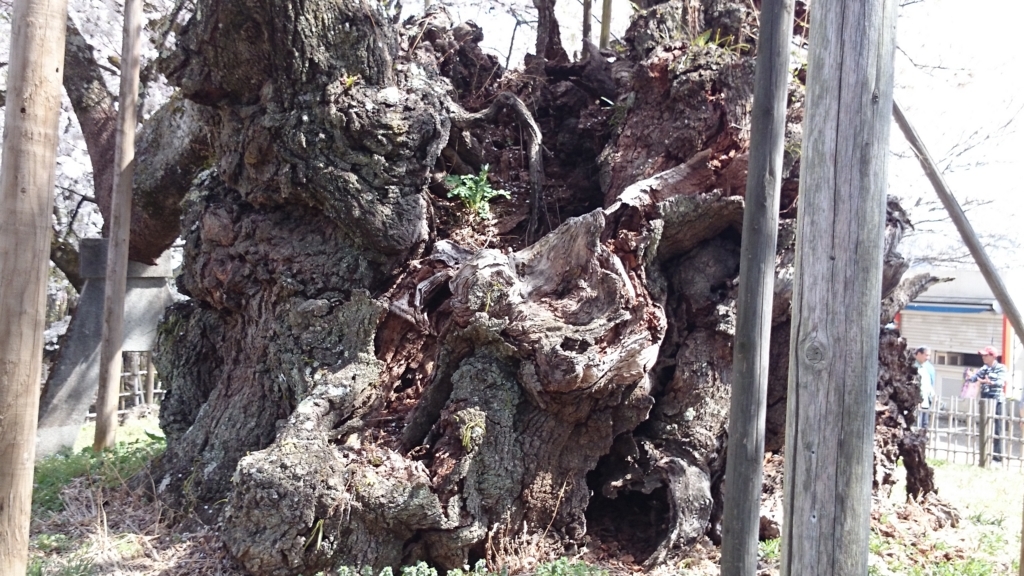 f:id:n_aomi1214:20180404130106j:plain