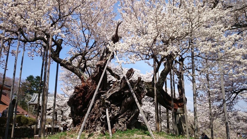 f:id:n_aomi1214:20180404130534j:plain