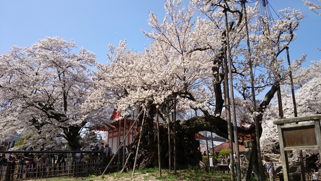 f:id:n_aomi1214:20180404130914j:plain