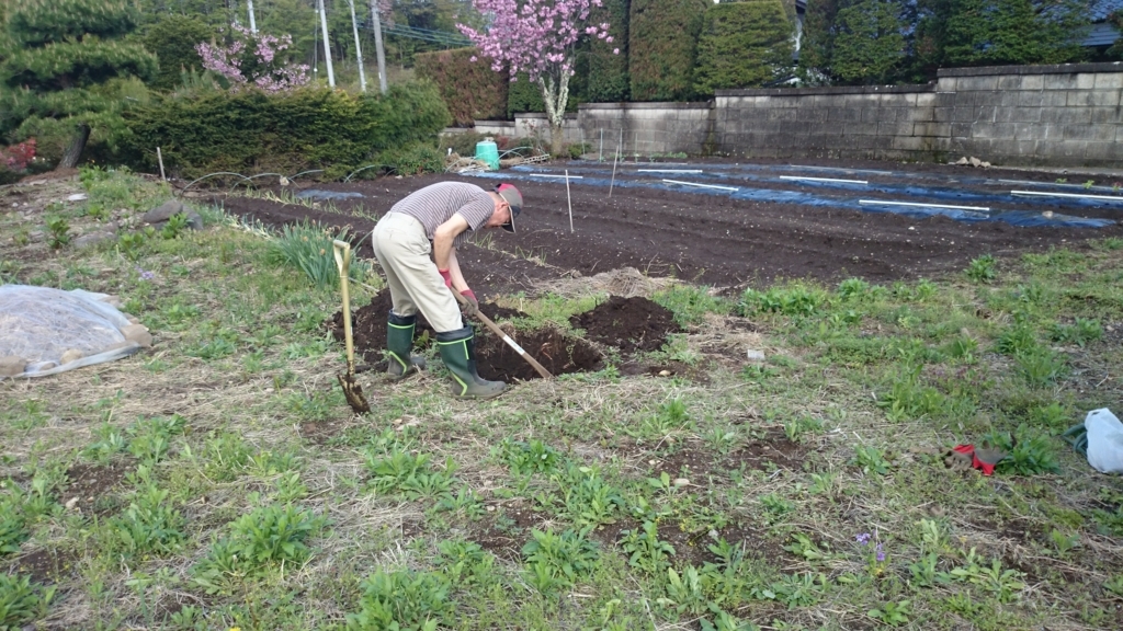 f:id:n_aomi1214:20180425154205j:plain