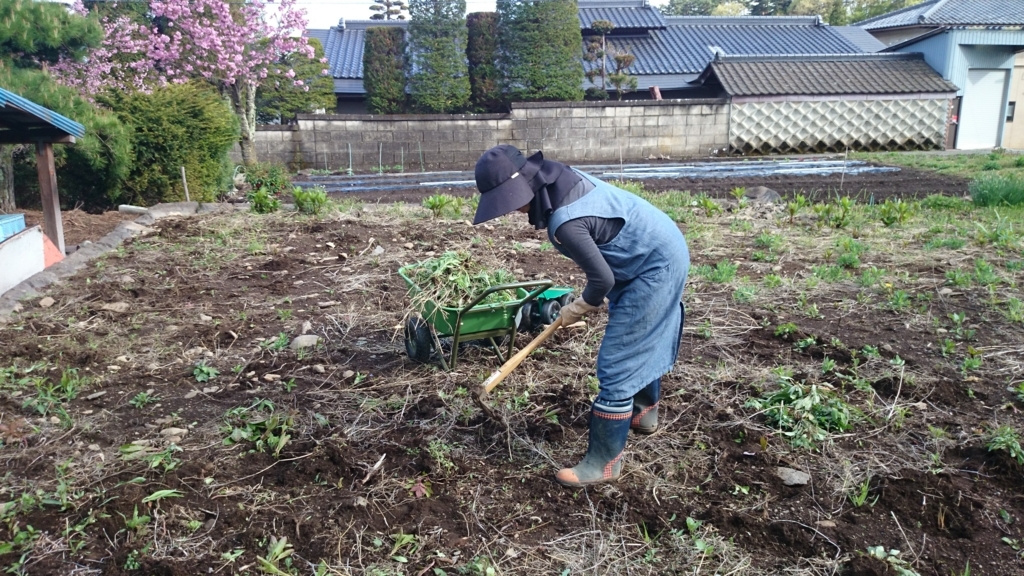 f:id:n_aomi1214:20180425154352j:plain