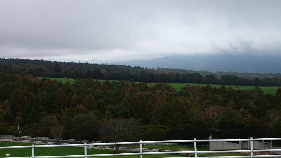 f:id:n_aomi1214:20181021124558j:plain f:id:n_aomi1214:20181021124558j:plain