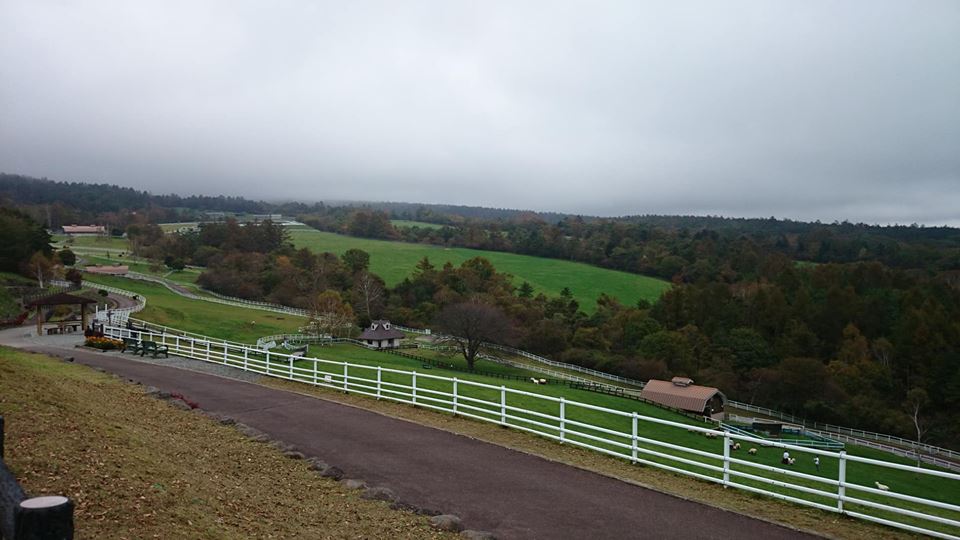 f:id:n_aomi1214:20181021124940j:plain f:id:n_aomi1214:20181021124940j:plain