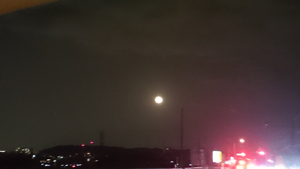 f:id:n_aomi1214:20181025181439j:plain