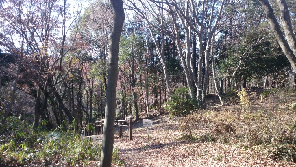 f:id:n_aomi1214:20190103133137j:plain f:id:n_aomi1214:20190103133137j:plain