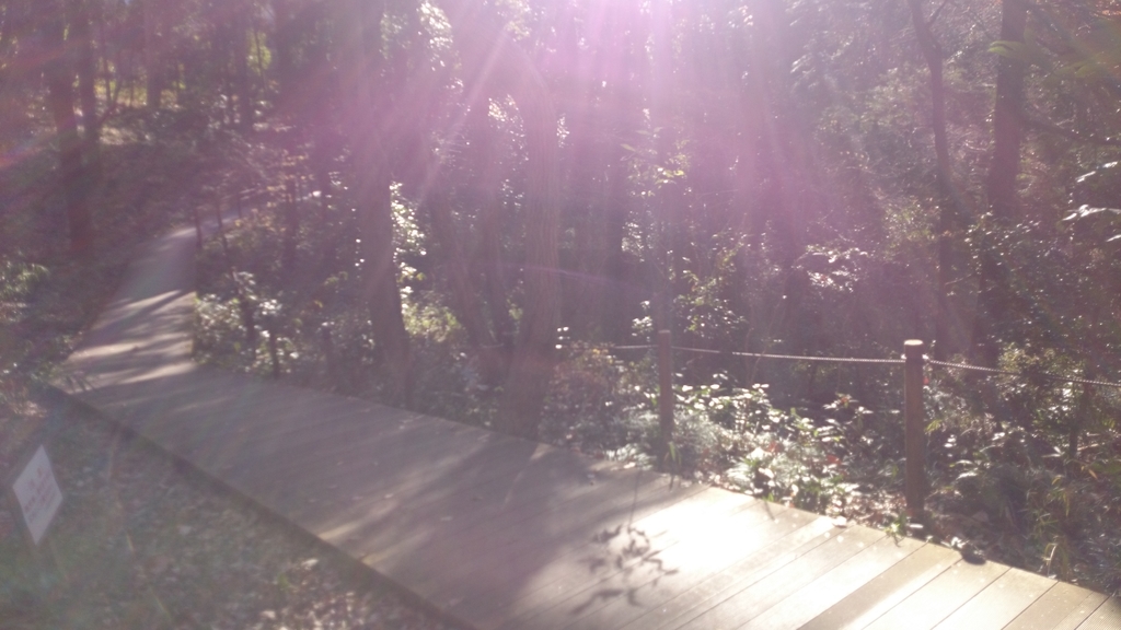 f:id:n_aomi1214:20190103133247j:plain f:id:n_aomi1214:20190103133247j:plain