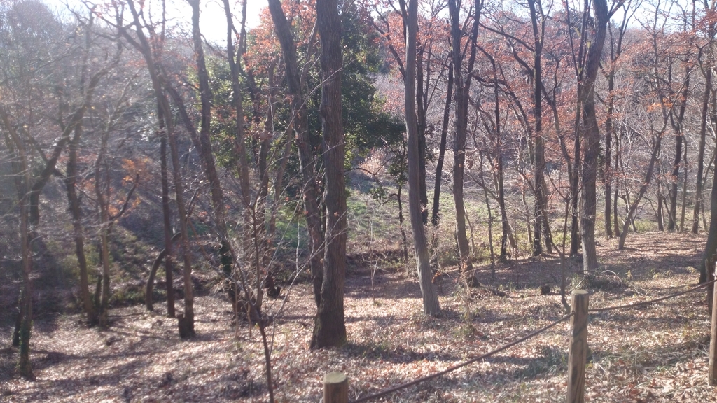 f:id:n_aomi1214:20190103133311j:plain f:id:n_aomi1214:20190103133311j:plain