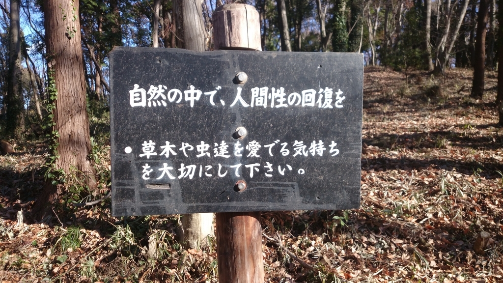 f:id:n_aomi1214:20190103133419j:plain f:id:n_aomi1214:20190103133419j:plain