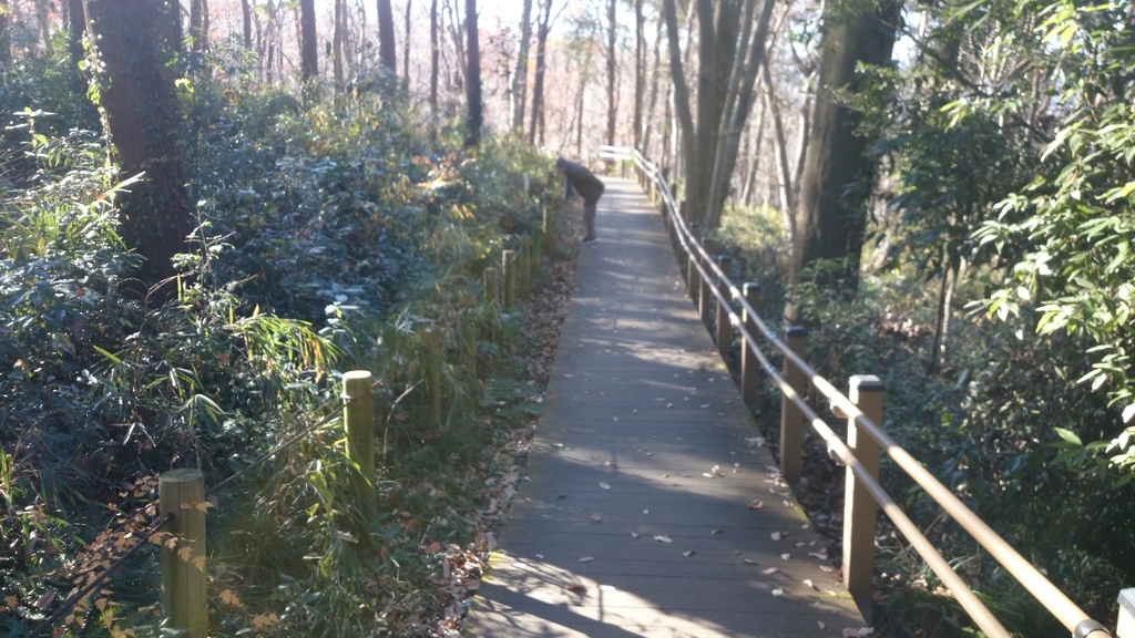 f:id:n_aomi1214:20190103133536j:plain f:id:n_aomi1214:20190103133536j:plain