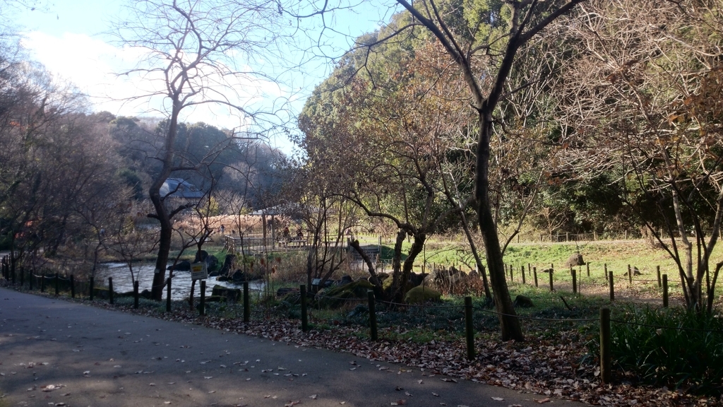 f:id:n_aomi1214:20190103134543j:plain f:id:n_aomi1214:20190103134543j:plain