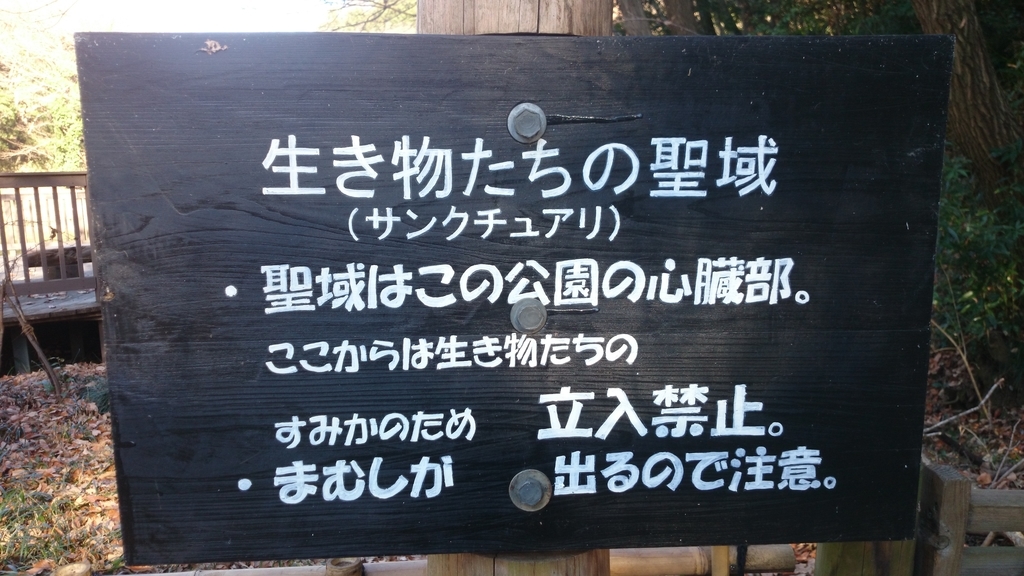 f:id:n_aomi1214:20190103134605j:plain f:id:n_aomi1214:20190103134605j:plain