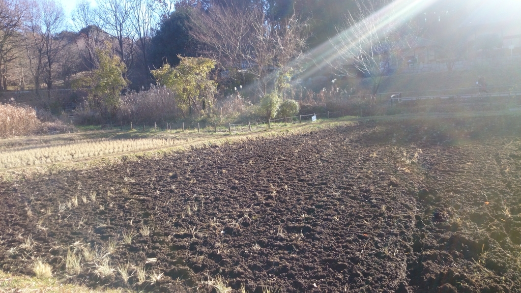 f:id:n_aomi1214:20190103140531j:plain f:id:n_aomi1214:20190103140531j:plain