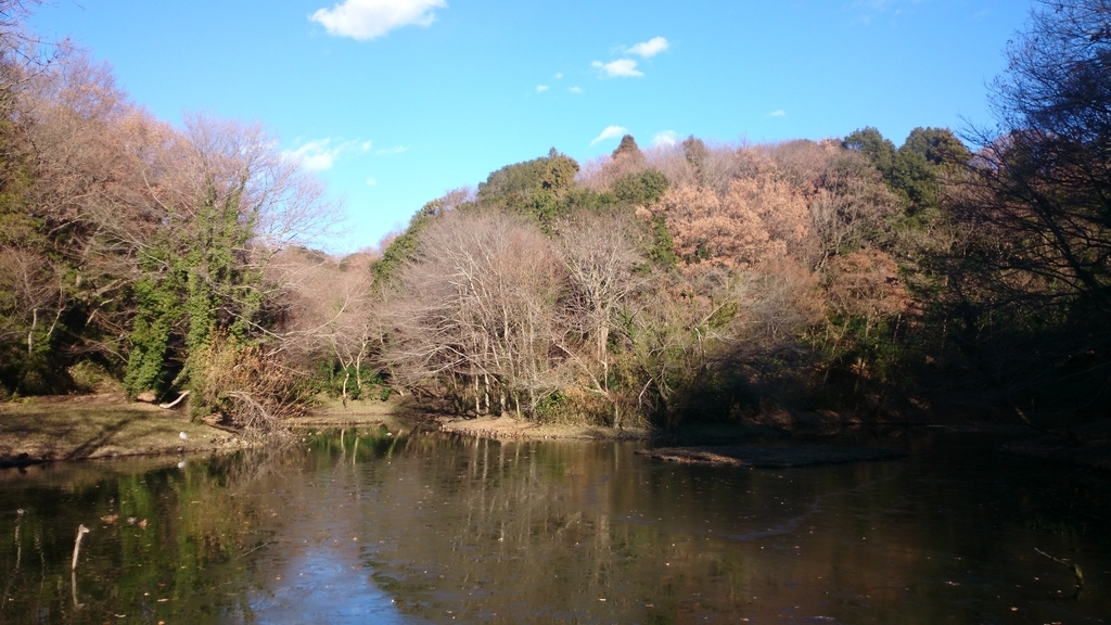 f:id:n_aomi1214:20190103141242j:plain f:id:n_aomi1214:20190103141242j:plain