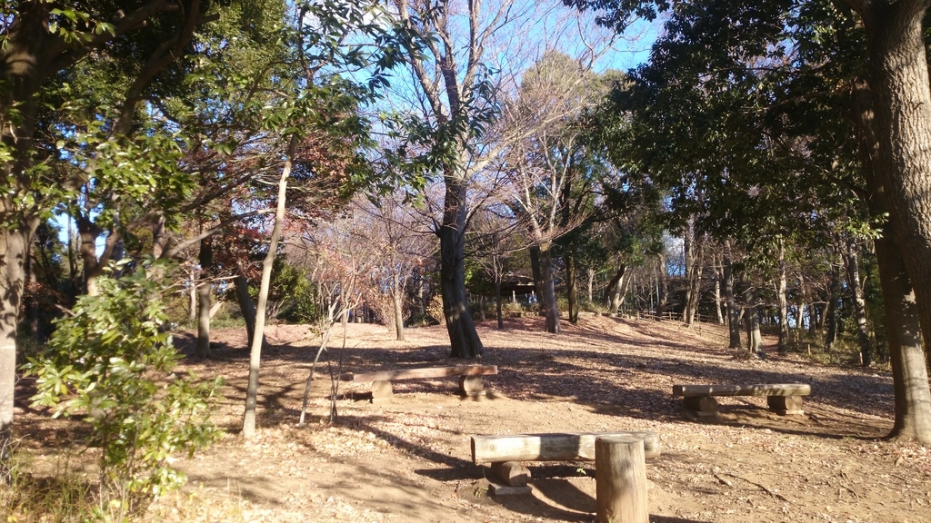 f:id:n_aomi1214:20190103143054j:plain f:id:n_aomi1214:20190103143054j:plain