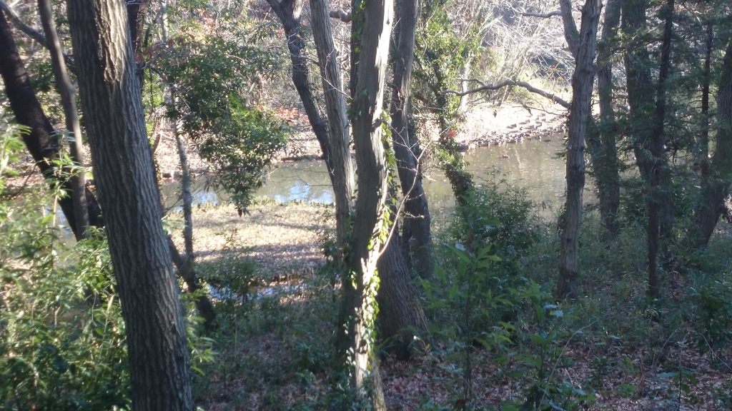 f:id:n_aomi1214:20190103145333j:plain f:id:n_aomi1214:20190103145333j:plain