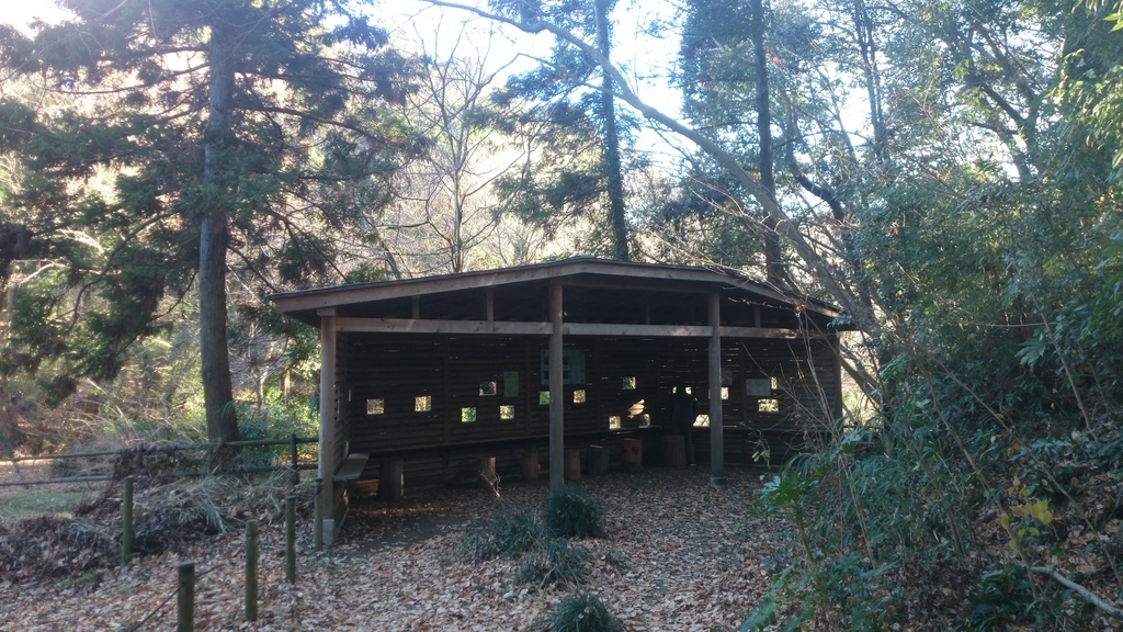 f:id:n_aomi1214:20190103145440j:plain f:id:n_aomi1214:20190103145440j:plain