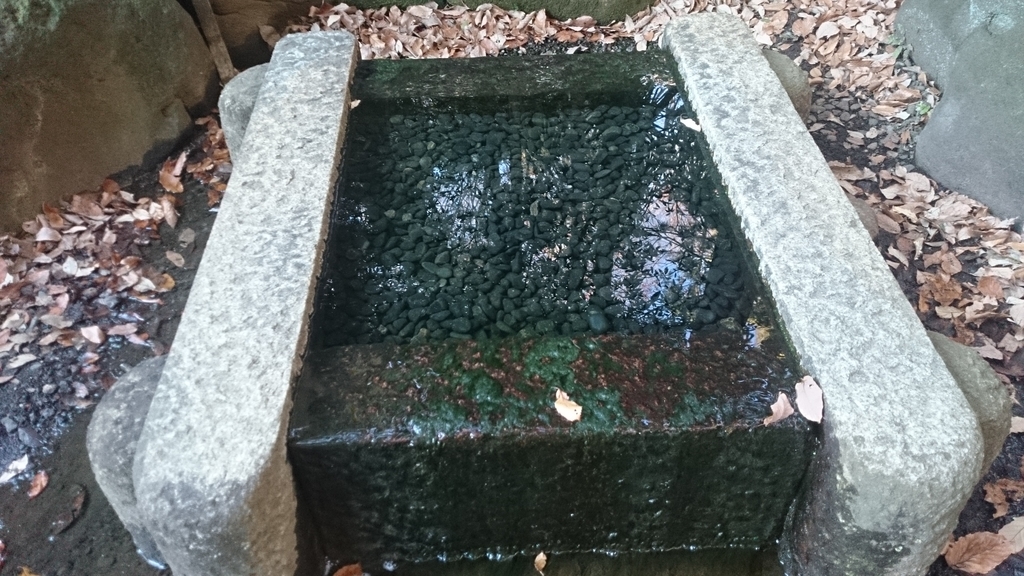 f:id:n_aomi1214:20190103145607j:plain f:id:n_aomi1214:20190103145607j:plain