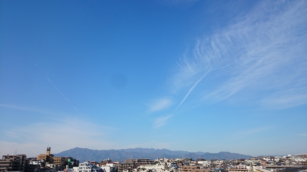 f:id:n_aomi1214:20190108095407j:plain