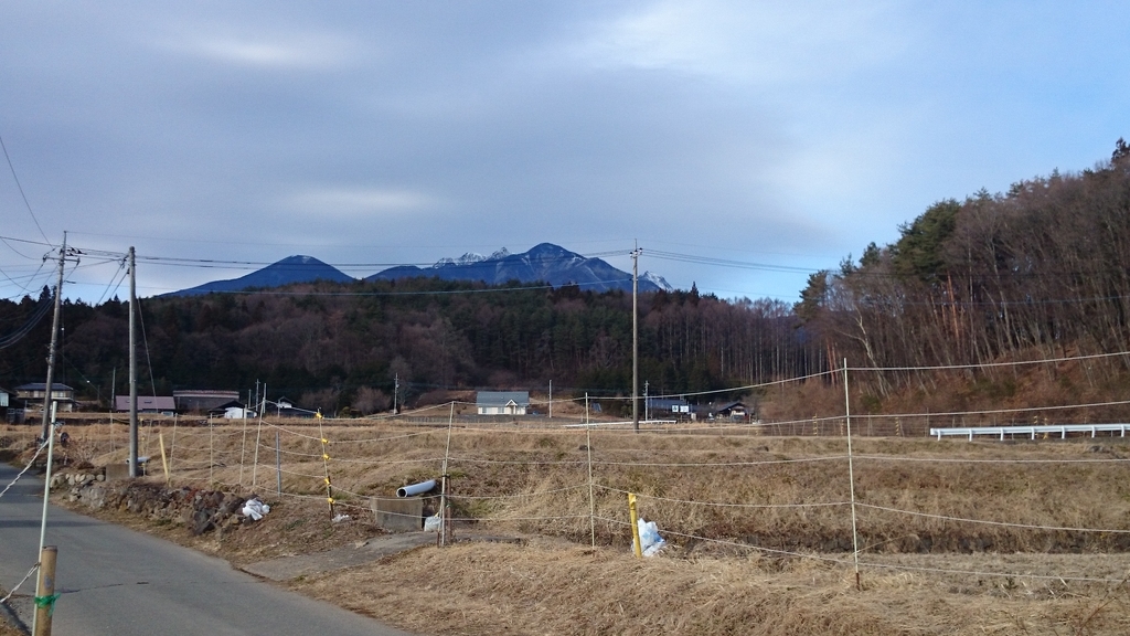 f:id:n_aomi1214:20190110144127j:plain