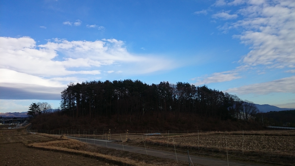 f:id:n_aomi1214:20190110145153j:plain
