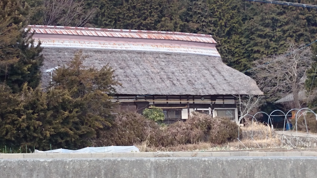 f:id:n_aomi1214:20190110145436j:plain
