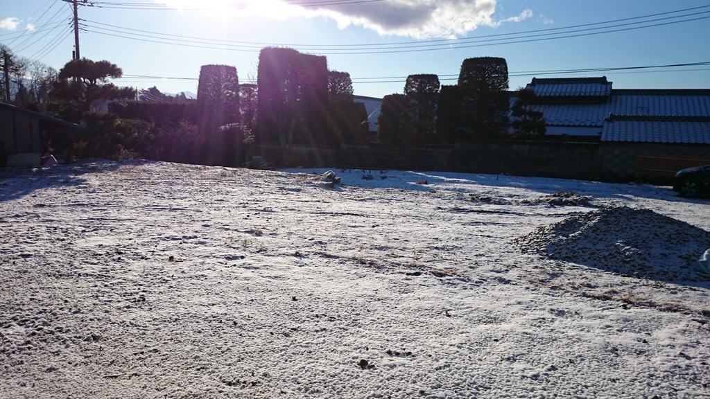 f:id:n_aomi1214:20190308073423j:plain f:id:n_aomi1214:20190308073423j:plain