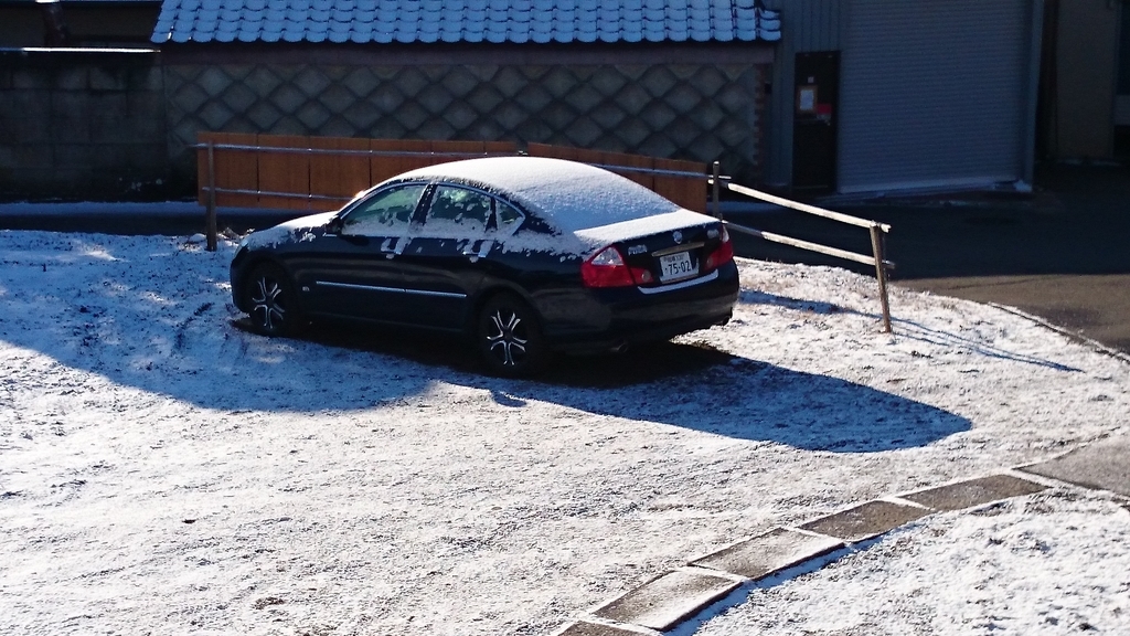 f:id:n_aomi1214:20190308074458j:plain f:id:n_aomi1214:20190308074458j:plain