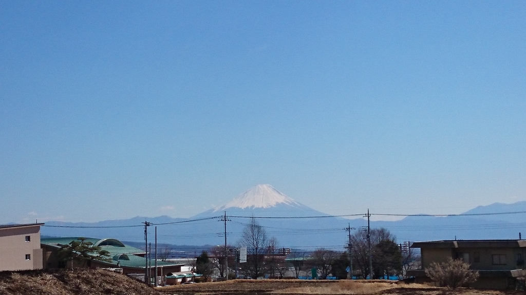 f:id:n_aomi1214:20190308130502j:plain f:id:n_aomi1214:20190308130502j:plain