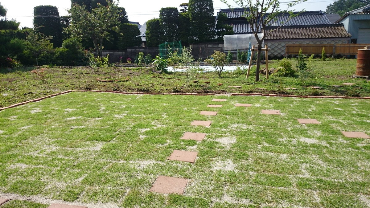f:id:n_aomi1214:20190620081445j:plain
