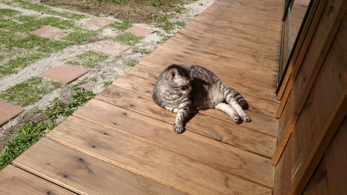 f:id:n_aomi1214:20190620081540j:plain