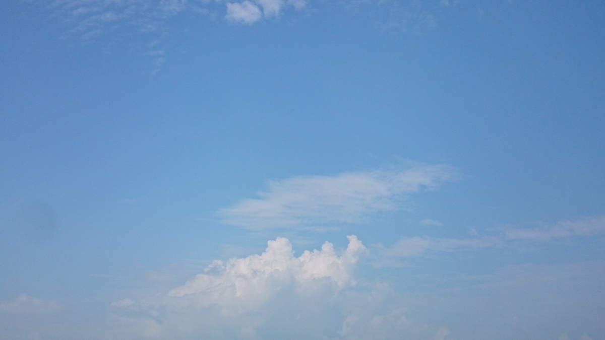 f:id:n_aomi1214:20190729091541j:plain