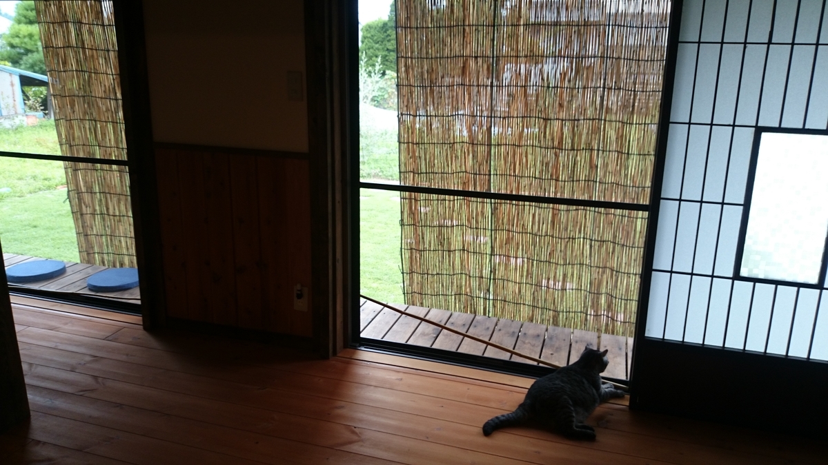 f:id:n_aomi1214:20190731155238j:plain