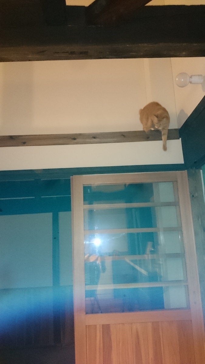 f:id:n_aomi1214:20190801201459j:plain