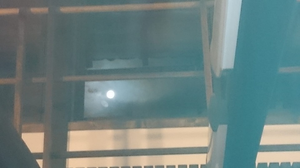f:id:n_aomi1214:20190816170323j:plain