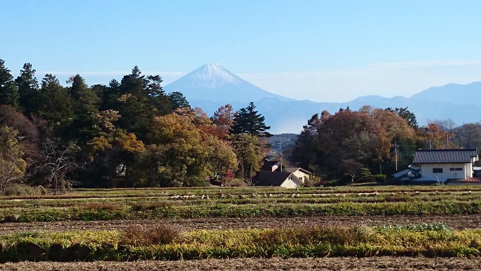 f:id:n_aomi1214:20191117183229j:plain