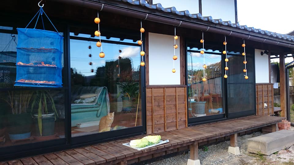 f:id:n_aomi1214:20191117183918j:plain