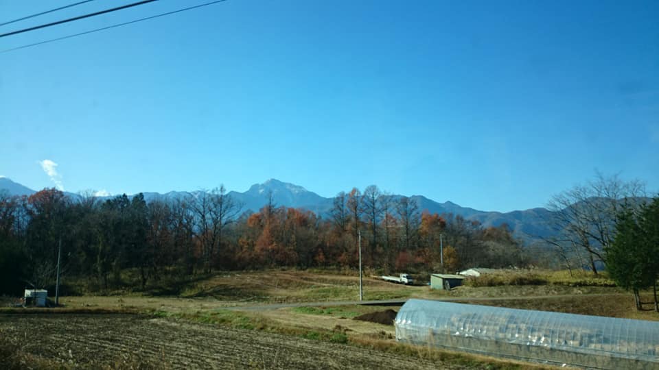 f:id:n_aomi1214:20191202114400j:plain