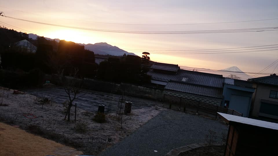 f:id:n_aomi1214:20200219221439j:plain