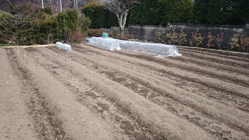 f:id:n_aomi1214:20200405210207j:plain