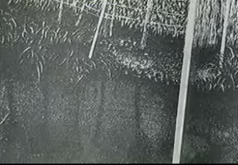 f:id:n_euler666:20080712234448p:image f:id:n_euler666:20080712234448p:image