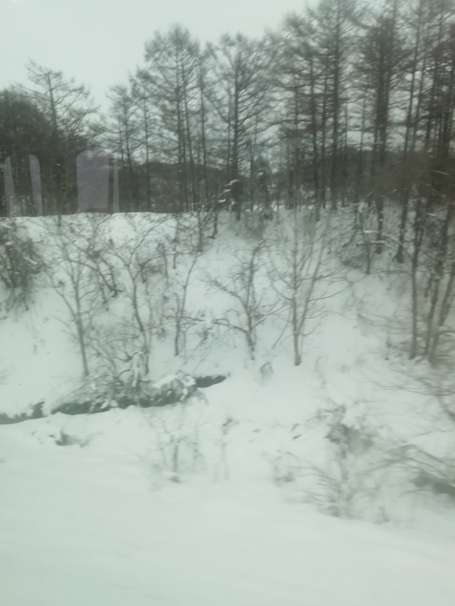 f:id:n_hermes:20200102034109j:plain
